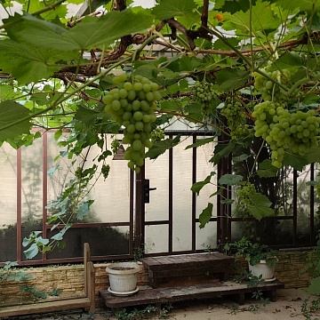 Краснодарский край, г Геленджик, хутор Широкая Щель, тер. СНТ Садовод, ул Сибирская, д 3 Объявление Дом, 280м2, 3 эт, 4.5 сот.