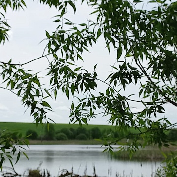 Объявление Дом, 120м2, 1 эт, 245 сот.